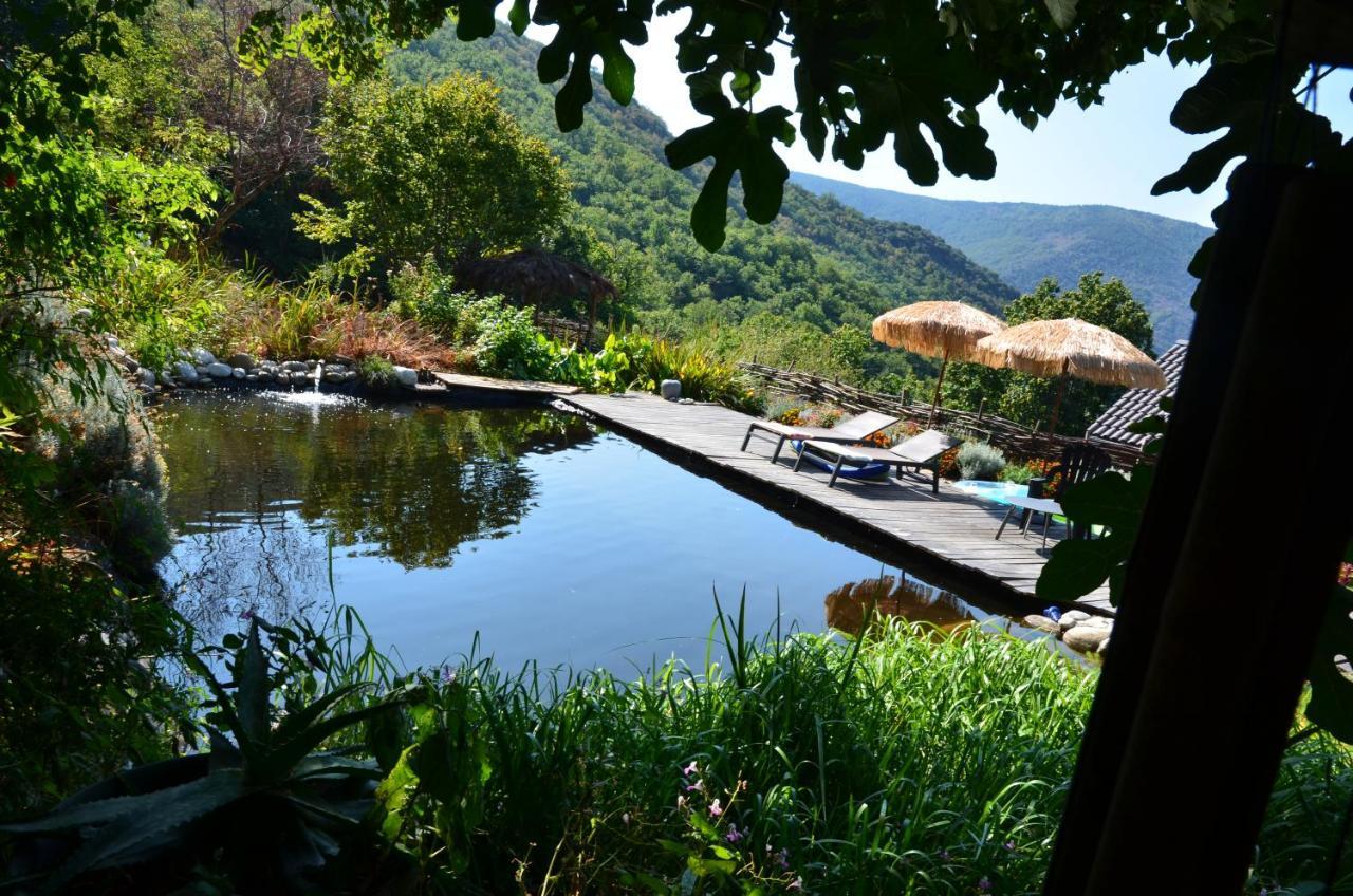 Bed and Breakfast Le Petit Nid Sablieres Экстерьер фото